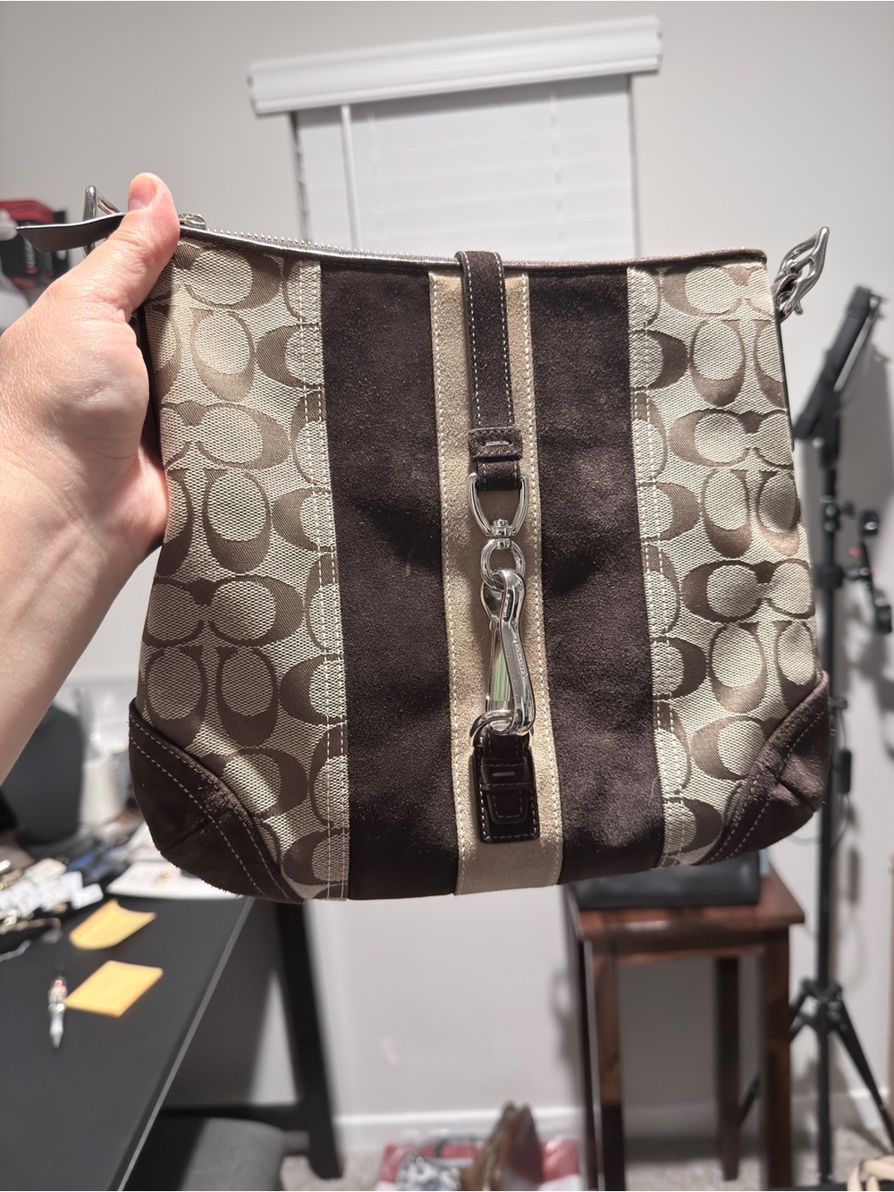 Vintage Coach Crossbody (Suede Stripe)
